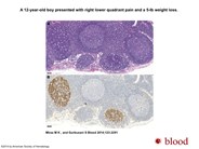 Cloaked in a starry sky