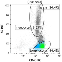 Mycosis-Fungoides-Blood