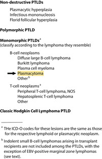 Plasmacytoma-Like PTLD, EBV+