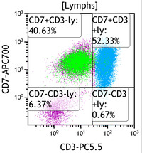 Chronic-Lymphoproliferative-Disorder-of-NK-Cells--Flow-Plots
