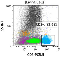 Chronic-Lymphoproliferative-Disorder-of-NK-Cells--Flow-Plots