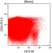 Mixed-Phenotype-Acute-Leukemia-Bmyeloid-Flow-Plots-CD13vsCD33