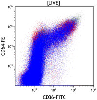 Mixed-Phenotype-Acute-Leukemia-Bmyeloid-Flow-Plots-CD36vsCD64