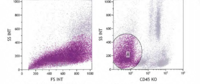 Bone marrow morphology and flow cytometry plots 4